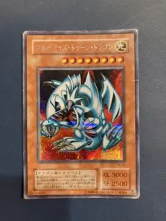 遊戯王 ブルーアイズ・トゥーン・ドラゴン　シークレット