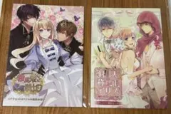 大正×対称アリス all in one、テミラーナ国の強運姫と悲運騎士団、冊子