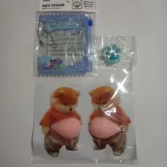 柴犬　ぷにぷに　お腹　ぽっこり　肉球　ステッカー　シリコン　スクイーズ