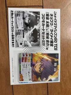 イナズマイレブンGO TCG 雨宮　剣城　プロモカードセット