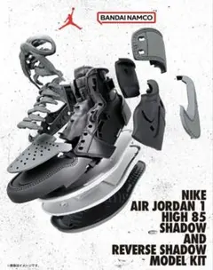 JORDAN １SHADOW AND REVERSE SHADOW KIT