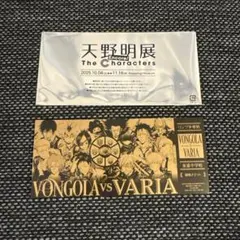 家庭教師ヒットマンREBORN！ 天野明展 レプリカチケット リボーン
