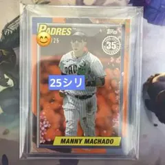 MLB パドレス マニー・マチャド ボブルヘッド 12月発送 - メルカリ