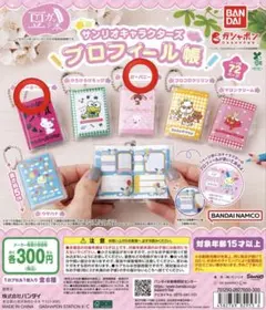 サンリオキャラクターズ プロフィール帳 チャーミーキティ/シュガーバニーズ