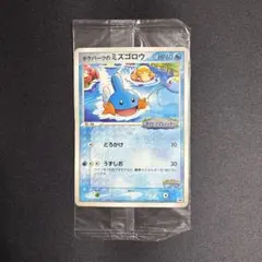 ポケパークのミズゴロウ プロモ 048/PCG-P ポケモンカード