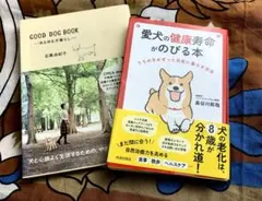 Item thumbnail for item 39b9902d-d6d4-4831-8738-25e3c042f37b