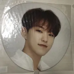 SEVENTEEN セブチ ホシ うちわ