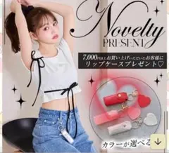 SOLNI ノベルティ リップケース キーホルダー
