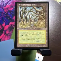 2026年最新】mtg ガイアの揺籃の地の人気アイテム - メルカリ