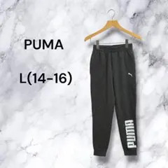 PUMA プーマ ジョガーパンツ ロゴプリント キッズ グレー L(14-16)のサムネイル