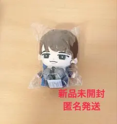 SnowMan 渡辺翔太 すのチル BIGぬいぐるみ