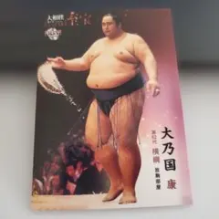 横綱 貴乃花 オレンジカード 横綱 貴乃花 オレンジカード - メルカリ