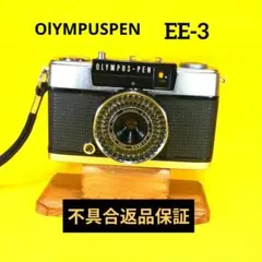 Item thumbnail for item 915c8546-0b3a-4f0d-b66c-5b7e45184860