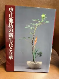 守破離 池坊専永監修 日本華道社 柴田英雄立華作品集 - メルカリ
