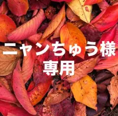 ニャンちゅう様 リクエスト 2点 まとめ商品