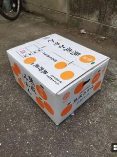 石地みかん　10キロ入り　訳あり　即日発送　⑦