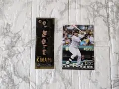 阪神タイガース　木浪聖也　フォトグレイ