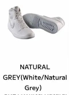 Item thumbnail for item 0101f16d-072b-4858-921c-4acee9a18fc7