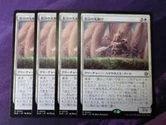MTG天光を求める者/Seeker of Skybreak日本語版4枚セット旧枠 - メルカリ
