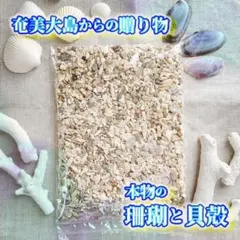 2026年最新】エメラルドハーバリウムの人気アイテム - メルカリ