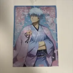 銀魂 坂田銀時 クリアファイル