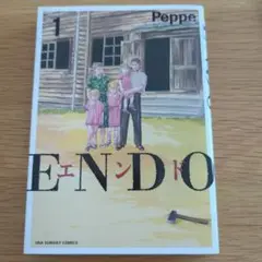 ENDO 1
