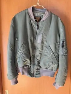 Item thumbnail for item 7310c38a-b76d-45e4-8720-375c7f7397cb