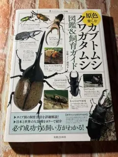 原色で楽しむ　カブトムシ・クワガタムシ　図鑑＆飼育ガイド 大人のフィールド図鑑