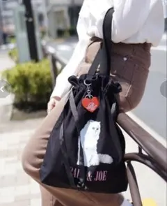 Paul & Joeポール＆ジョートートバッグ キャンバスフォトプリントネコ
