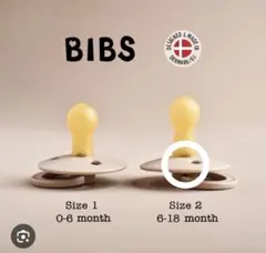 Item thumbnail for item c8664b17-c08c-4216-b5cc-a9c24250dc50