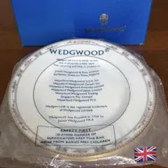 Wedgwood フロレンティーン 希少黒壺 カップ&ソーサー未使用 箱付