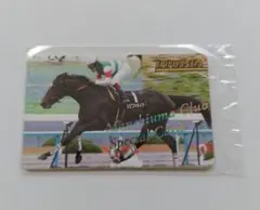 2026年最新】まねき馬レインボーカードの人気アイテム - メルカリ