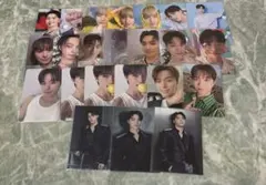 ディノ トレカ まとめ売り