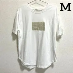 レディース　Tシャツ　プリントTシャツ　半袖　裾ラウンド　ホワイト　白