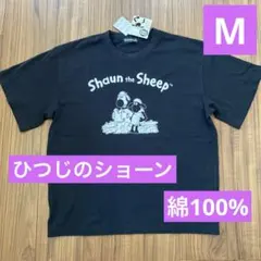 ドリカム ツアーTシャツMOOMIN ムーミン&リトルミイ Tシャツ サイズL