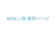 専用ページ