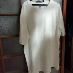 Item thumbnail for item e87a30d7-9ac5-480e-9142-996d33ec8002