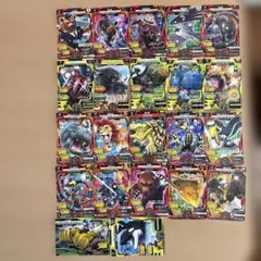 アニマルカイザー キラカードまとめ売り18枚 - メルカリ
