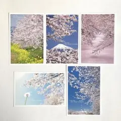 ☆maoxiong☆様 リクエスト 2点 まとめ商品