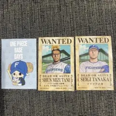 ONE PIECE BASE DAYS 2選手のWANTED