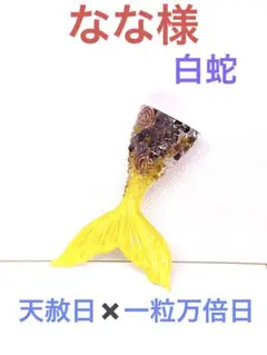 天赦日✖️一粒万倍日