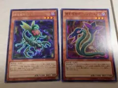 遊戯王　捕食植物オフリススコーピオ　ダーリングコブラ