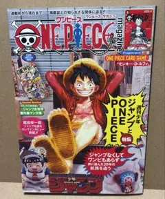 ワンピースマガジン 20号 ONE PIECE magazine 【付録なし】