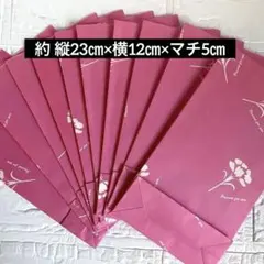 ハンドメイド　母の日　カーネーション柄マチ付き紙袋10枚セット