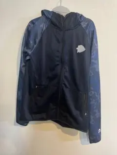 Item thumbnail for item d0975398-d0bf-45cf-a427-d365648dfb1c