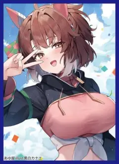 ウマ娘　ダンツフレームスリーブ　C１０４新作