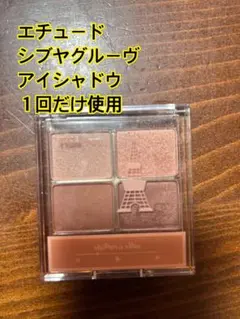 ETUDE アイシャドウ シブヤグルーヴ