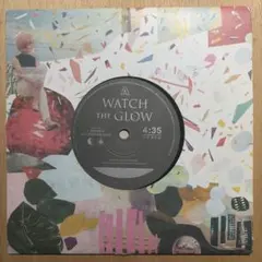 Museum Of Bellas Artes / Watch The Glow