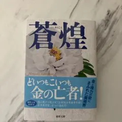 ホンダぽにぽに様 リクエスト 2点 まとめ商品