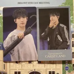 SEVENTEEN CARATLAND 2024 VOD 特典 トレカ ドギョム